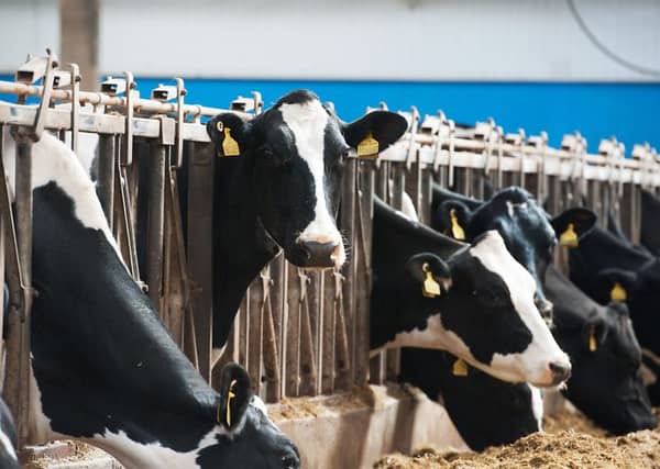 The European Milk Board wants EU farm commissioner Phil Hogan removed from office