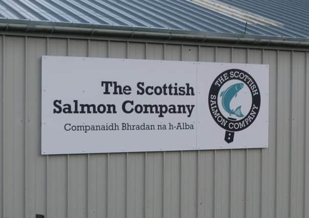 The Scottish Salmon Company is facing a challenge year but is sticking with current year-long projections. Picture: Contributed