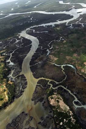 An aerial view from 2013 of devasted creeks and land in the Niger Delta from oil spilt by thefts from a pipeline. Picture: AFP/Getty Images