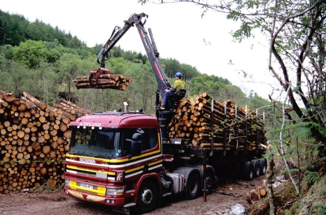 It is believed one tree is harvested every minute but there are concerns revenue will dip unless new stock is planted soon. Picture: Contributed