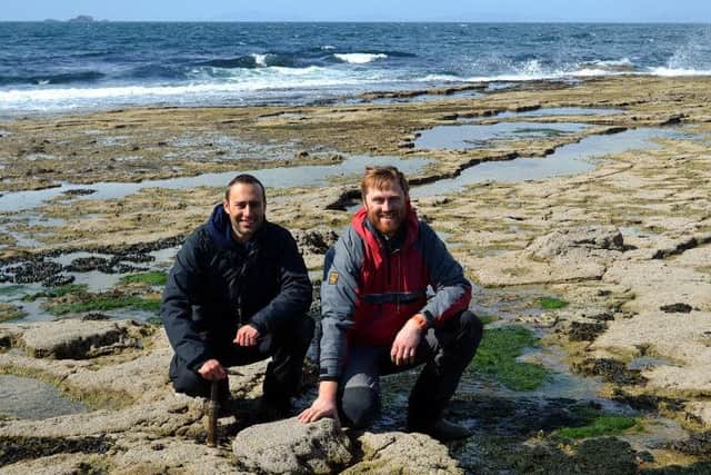 Dr Steve Brusatte and Dr Tom Challands pose by sauropod tracks. Picture: Mark Wilkinson