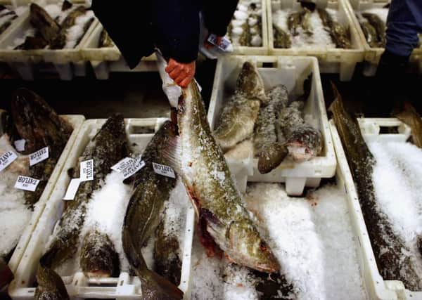 A buyer checks out fish landed by boats at Peterhead. Picture: Getty Images