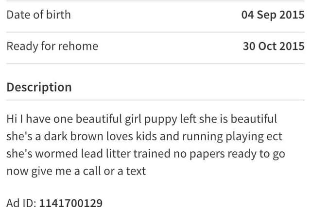 The SSPCA are keenly trying to contact the seller