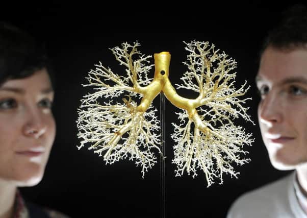 Emma Davey and Doug Stevens inspect a cast of lung. Picture: Neil Hanna