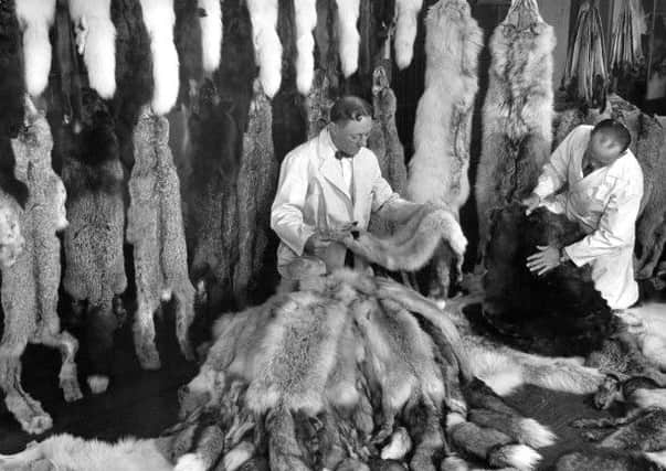 Two men examine pelts from large piles in front of them in the fur deptartment at the Hudson Bay Company store, Winnipeg, Manitoba, Canada, mid-July, 1937. (Photo by Margaret Bourke-White/Time & Life Pictures/Getty Images)