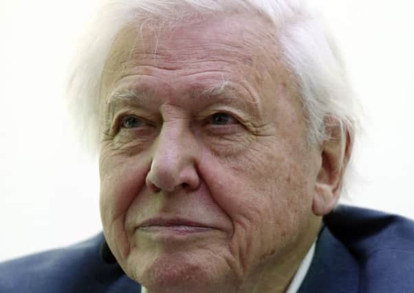 Sir David Attenborough. Picture: PA