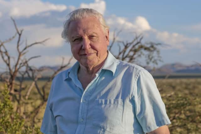 Sir David Attenborough has approximately 32 degrees to his name. Image: Sarah Ward