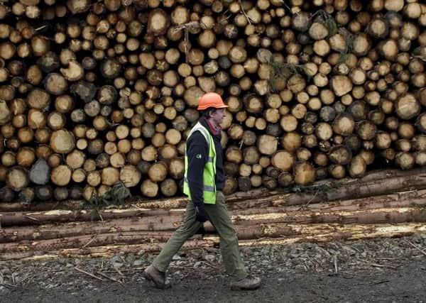 The Crown Estate said the forestry industry offers 'excellent opportunities'. Picture: Neil Hanna