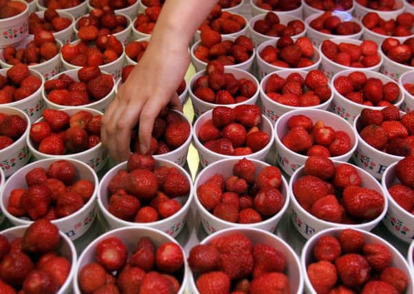 The English NFU warned that British soft fruit could be priced out of the market. Picture: Daniel Berehulak/Getty Images