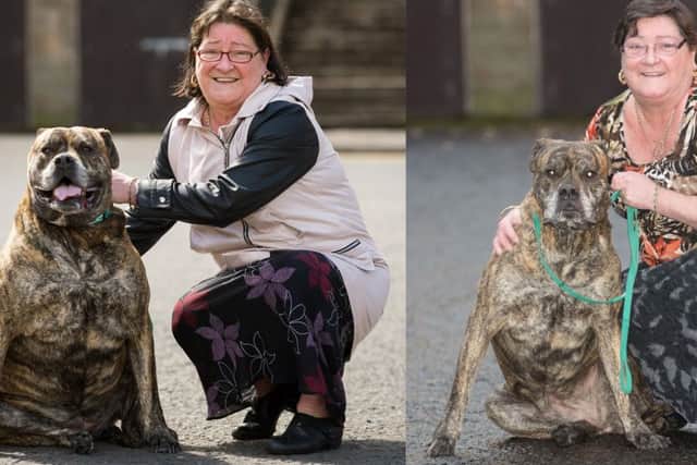 Bullmastiff Kayla and her owner Agnes Higgins Picture: PDSA/PA Wire