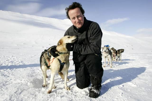 Rather than cuddling Norwegian huskies, David Cameron might follow the country's example on renewables. Picture: PA