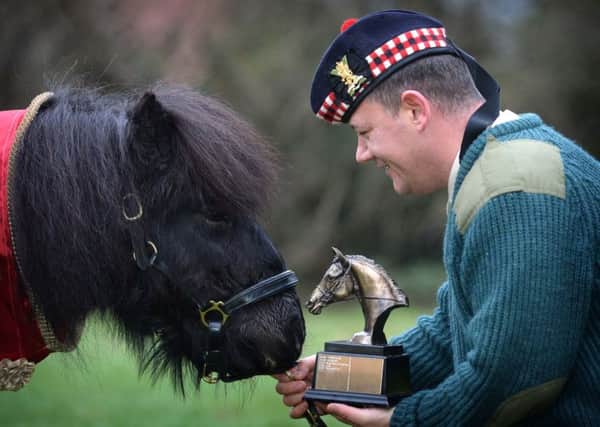Shetland pony and former Royal Regiment of Scotland Mascot 'Cruachan III' is presented with the award