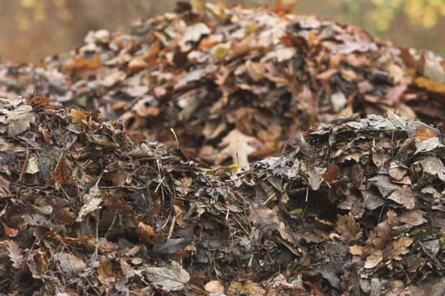 Leaf mould is especially useful to those who garden on light soil