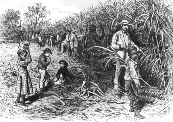 Scotland profited vastly from sugar produced on Jamaican plantations. Picture: Getty Images