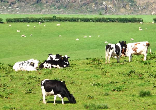 Tenants would be able to assign their land to a new farmer