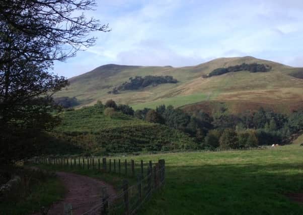 Plans to enlarge the park to include nearly all of the Pentland hills range were rejected by a Holyrood committee. Picture: Nick Drainey