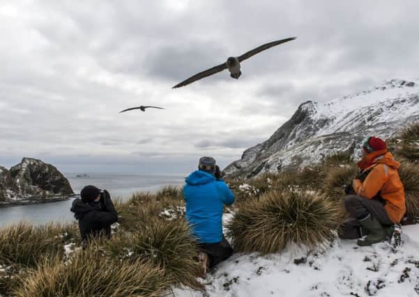 A light-mantled albatross and One Ocean visitors at Elsehul South Georgia. Picture: PA