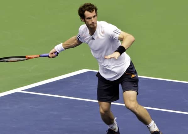 Picture: Andy Murray has had a successful 2016