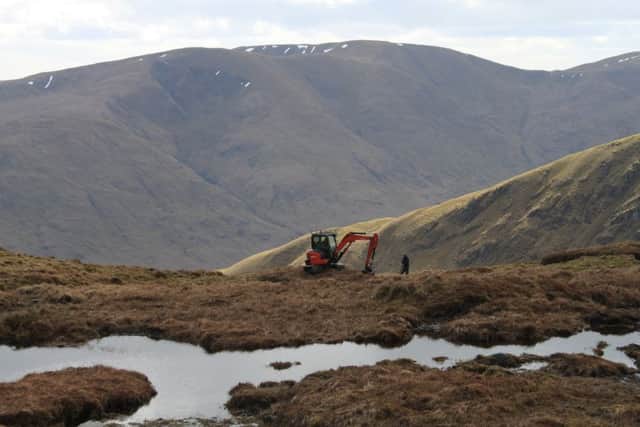 A bog pool, created by damming, at Beinn Dubh. Picture: Alan Bell
