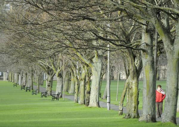 A mild December day in the Meadows in Edinburgh as temperatures rose to near-record levels over the weekend. Picture: Neil Hanna
