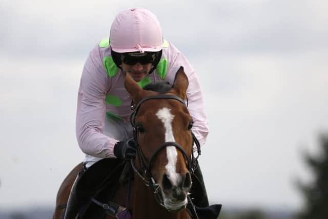 Ruby Walsh admits he might have taken the form of stable companion Nichols Canyon for granted in the  Morgiana Hurdle. Picture: Alan Crowhurst/Getty