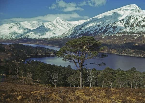 The area around Loch Affric is one of the suggested sites for a new Scottish national park