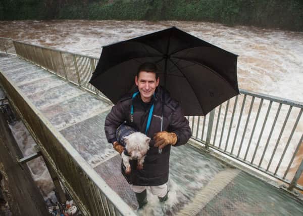 One member of the public has to carry his dog as the Water of Leith burst its banks near the Dean Village. Picture: Toby Williams