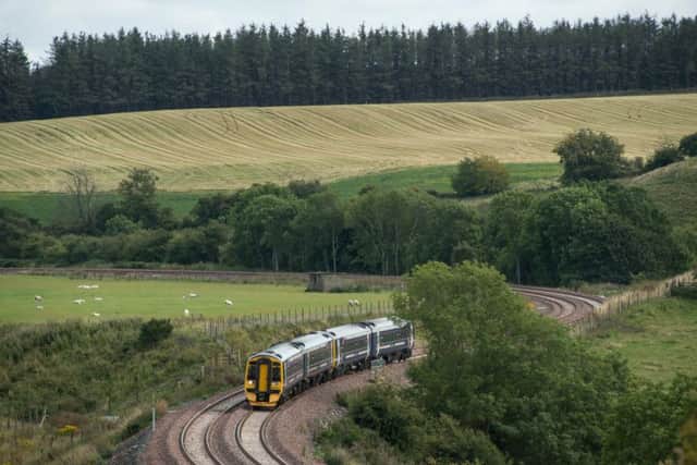 Wood from the Amazon rainforest was used to replace decking on bridges for the Borders Railway. Picture: Andrew O'Brien