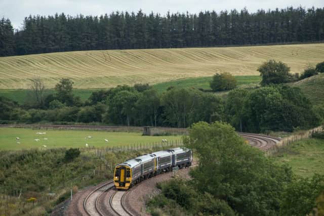 Wood from the Amazon rainforest was used  to replace decking on bridges for the Borders Railway. Picture: Andrew O'Brien