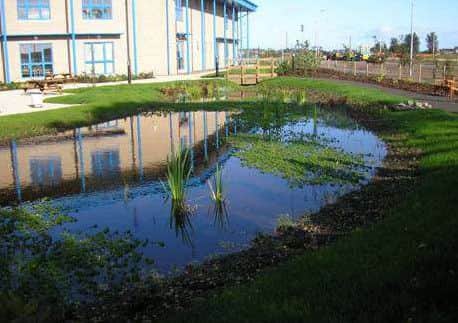 Flood prevention measures such as this marsh have since helped to allievate some of Glasgow's flooding woes in recent years. Image: Glasgow City Council/Scottish Water