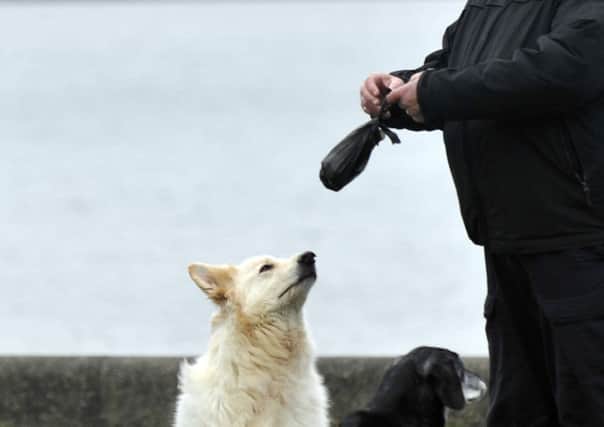 The fines for not picking up dog mess has been increased by the government. Picture: Phil Wilkinson/TSPL