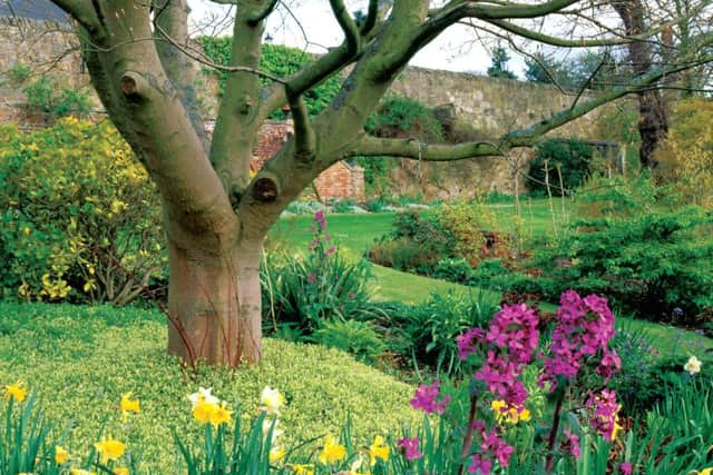 Inveresk Lodge Gardens
. Picture: David Robertson