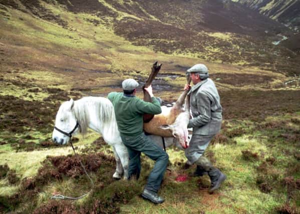 Deer culling is mainly the responsibility of landowners and is done on a voluntary basis. Picture: Ian Rutherford