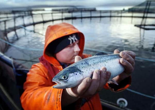 Aqualife develops vaccines for farmed fish. Picture: PA