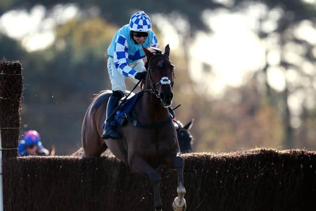 Last years Arkle runner-up Gods Own must have good ground to produce his best. Picture: PA