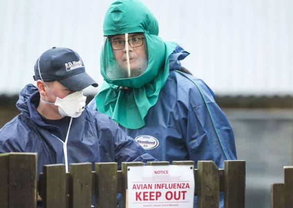 Craigies Poultry Farm near Dunfermline. Picture: PA