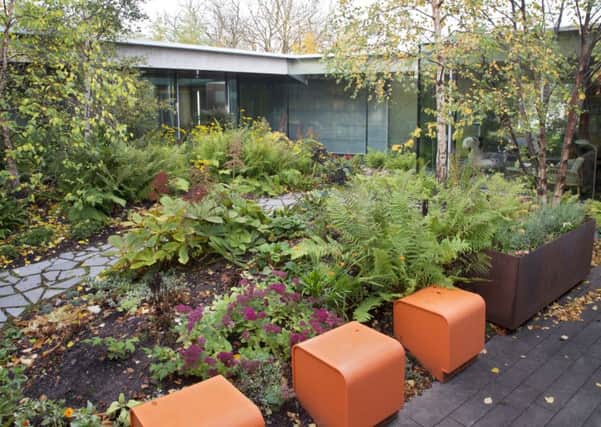 Maggie's Centre, Gartnavel. Picture: Ray Cox (rcoxgardenphotos.co.uk)