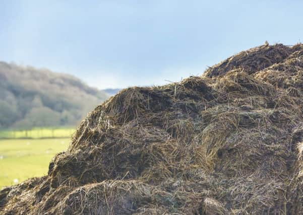 Manure will help restore nutrients which may have leached from the soil