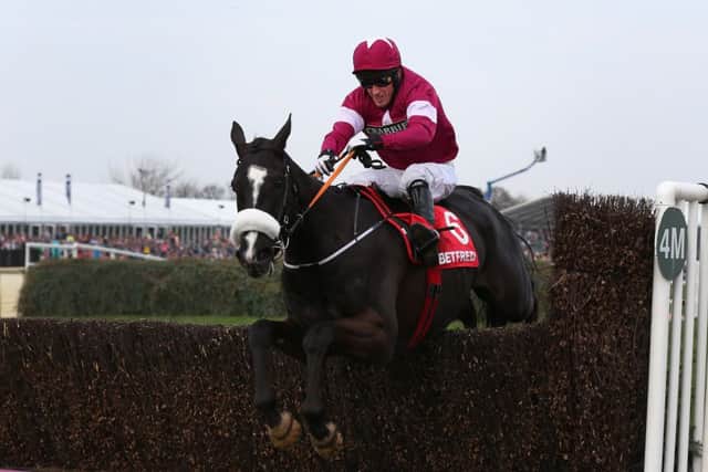 Gordon Elliotts Don Cossack is a huge threat for Ireland. Picture: Getty