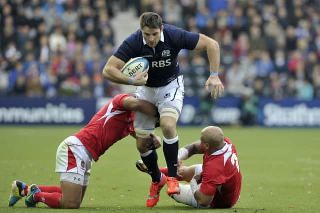 Scotland played Tonga on Rugby Park's artificial pitch in 2014. Picture: Ian Rutherford