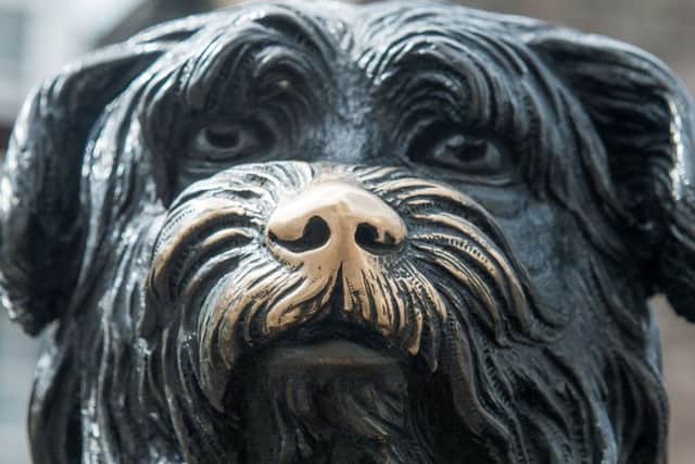 Statue of Greyfriars Bobby. Picture: Ian Georgeson.