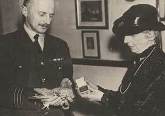 Winkie the carrier pigeon received the Dickin Medal for animal bravery after flying 120 miles across the North Sea to warn of a shot down WWII bomber