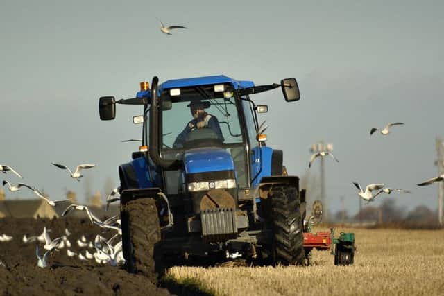 Arable farmers face hard times due to low prices. Picture: Gareth Easton