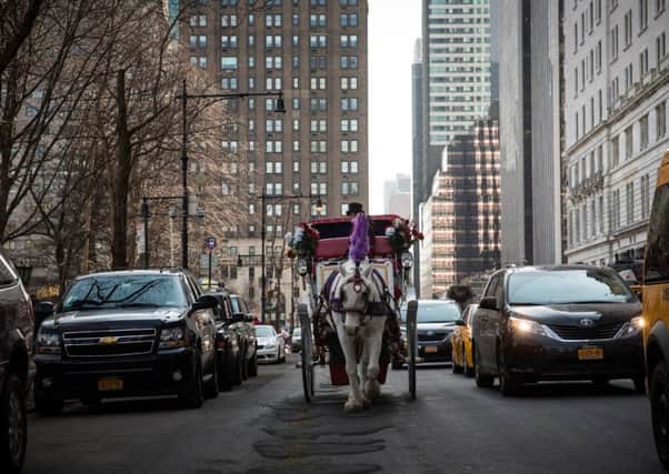 Tourists travel by carriage along New Yorks streets. Picture: Getty Images