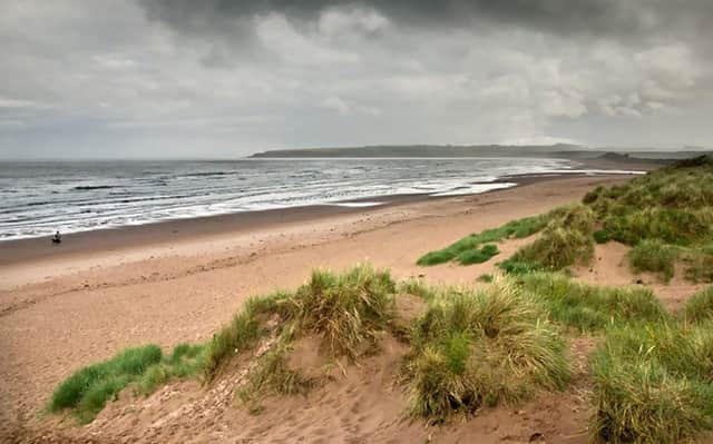 The remains were found on Lunan Beach, near Montrose. Picture: Contributed