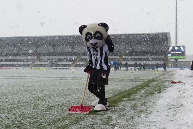 The Paisley Panda grabs a shovel and helps out - but to no avail. Picture: SNS Group