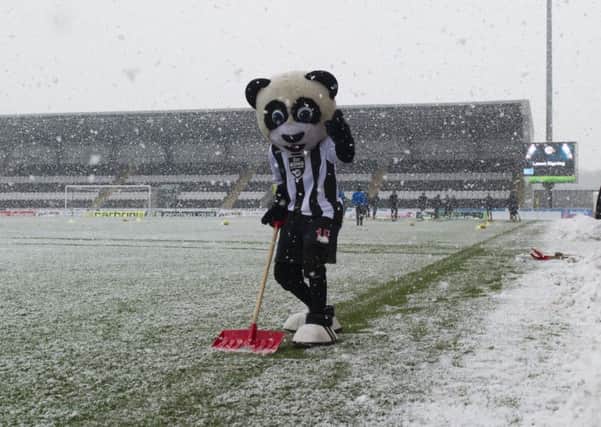 The Paisley Panda grabs a shovel and helps out - but to no avail. Picture: SNS Group