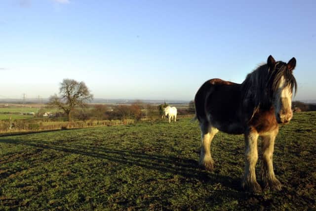 Hard decisions over land reform have yet to be made. Picture: Jane Barlow