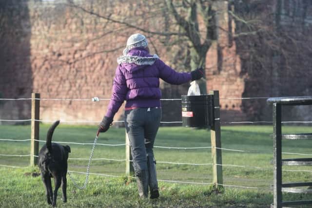 Some dog owners are more considerate than others