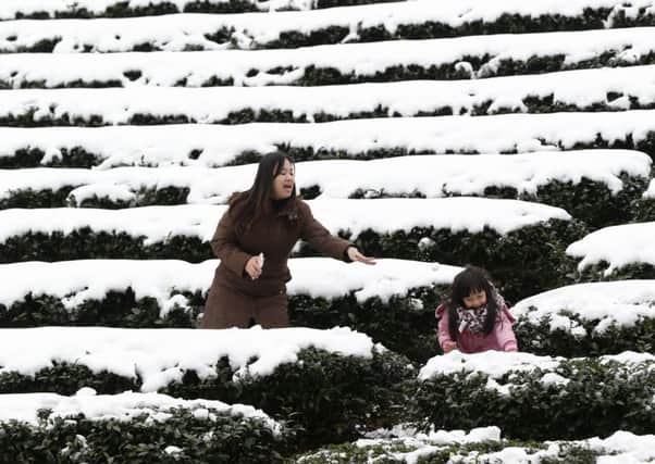 A mother and daughter play in the light snowfall on a tea plantation in New Taipei City, Taiwan. Picture: AP